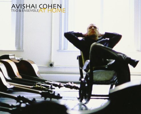 Avishai Cohen - At Home