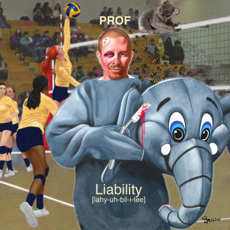 Prof - Liability