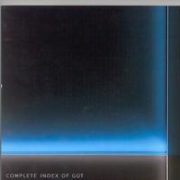 Ryuichi Sakamoto - Complete Index of Gut