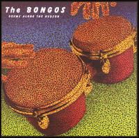 The Bongos - Drums Along the Hudson [Special Edition]