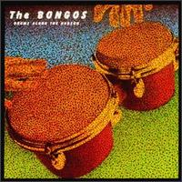 The Bongos - Drums Along the Hudson