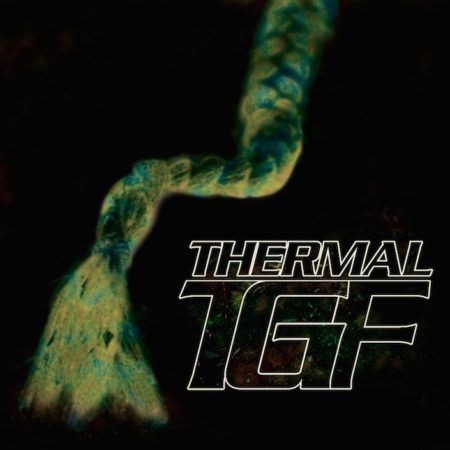 Teengirl Fantasy - Thermal