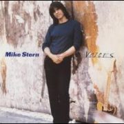Mike Stern - Voices