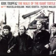 Erik Truffaz - Walk of the Giant Turtle